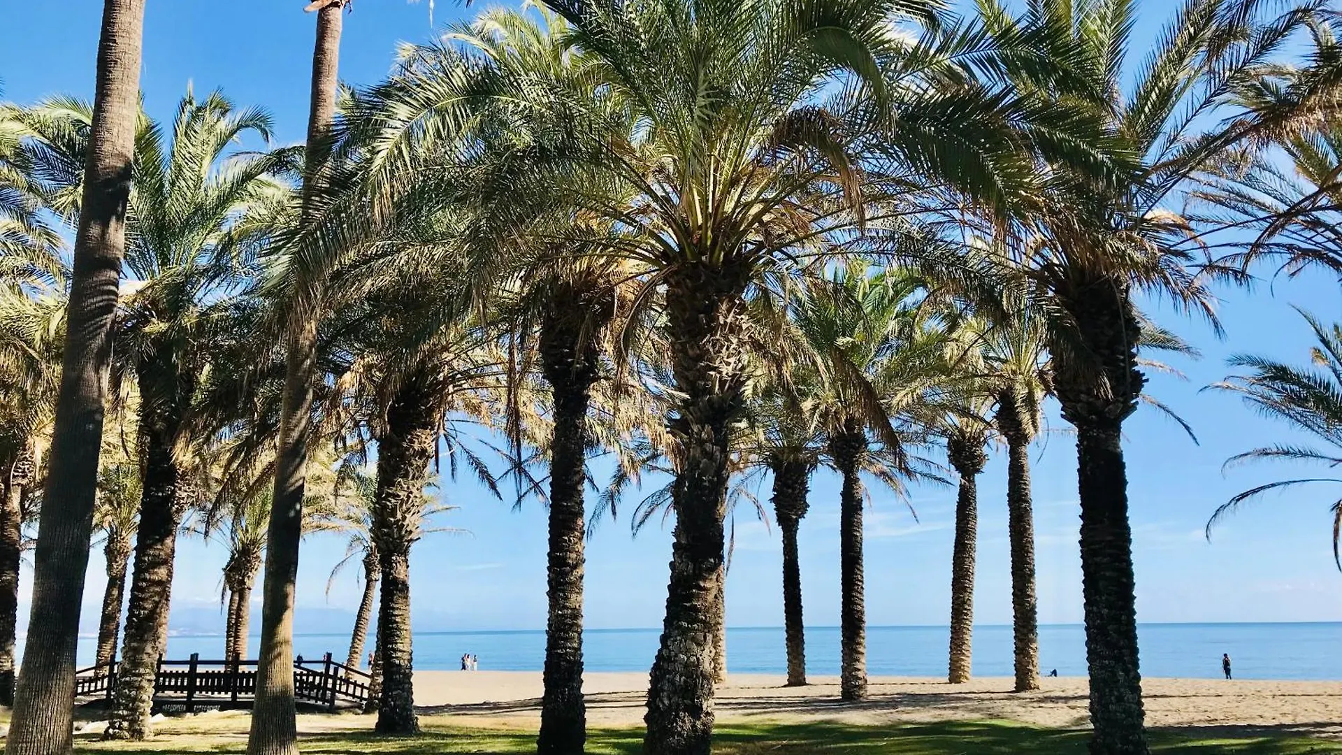 Apartamento Frente Al Mar Torres De Playamar En 托雷莫利诺斯 公寓
