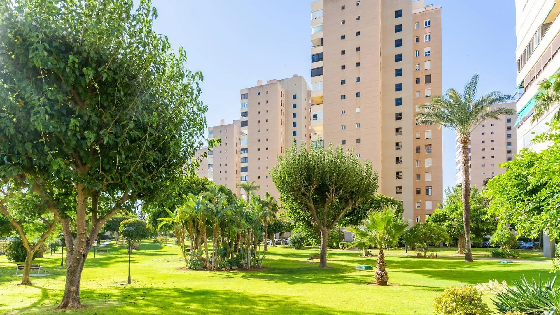 Apartamento Frente Al Mar Torres De Playamar En 托雷莫利诺斯